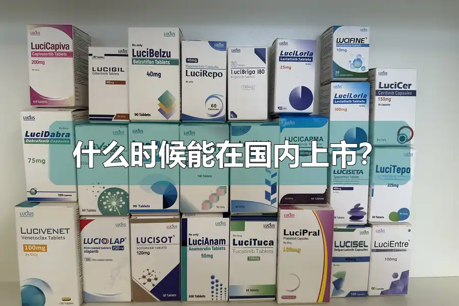 什么时候能在国内上市?