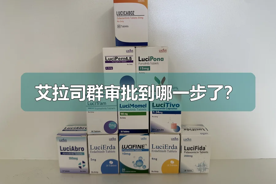 艾拉司群审批到哪一步了?